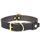 Dog Collars