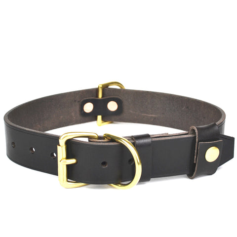 Dog Collars