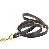 Dog Leashes