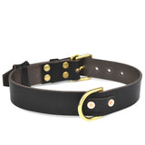 Dog Collars