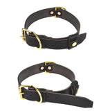 Dog Collars
