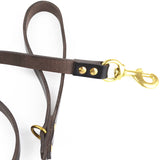 Dog Leashes