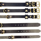 Dog Collars